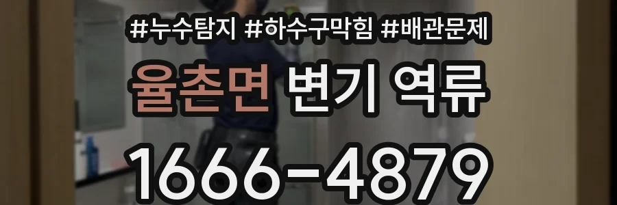 율촌면 변기 역류