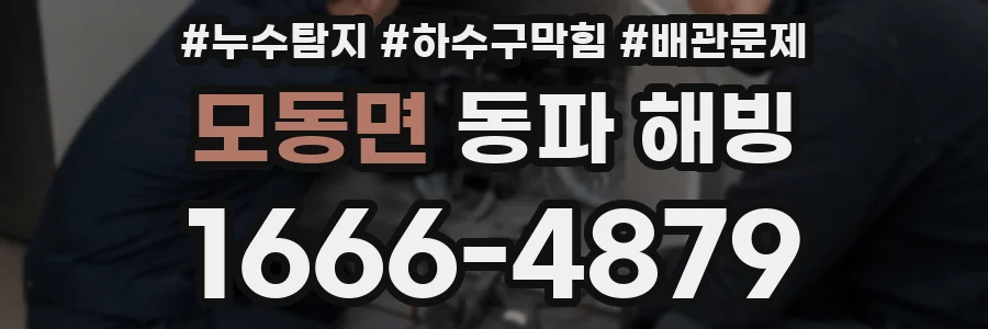 모동면 동파 해빙