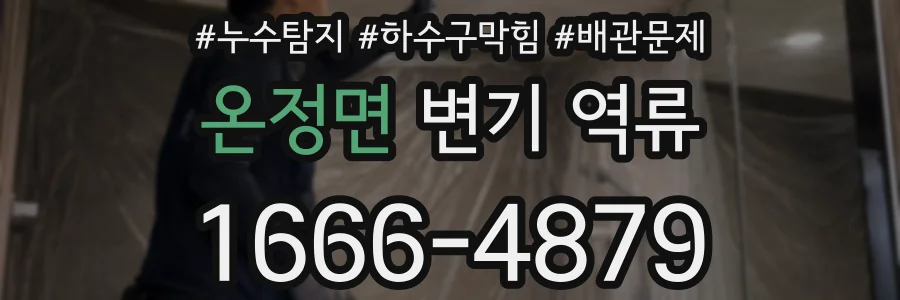 온정면 변기 역류