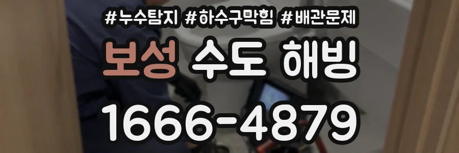 보성 수도 해빙