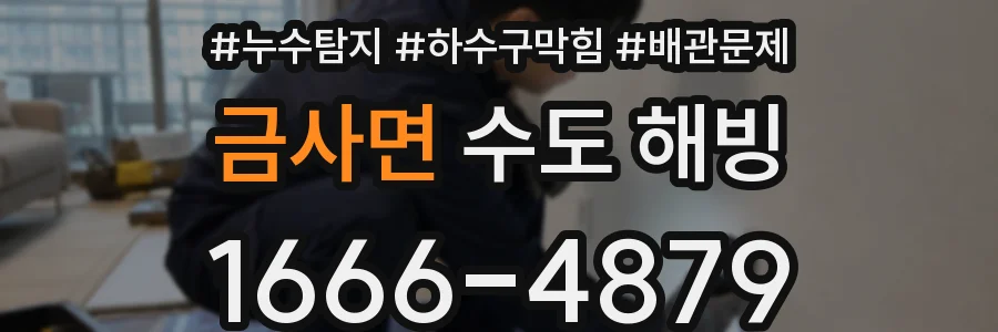 금사면 수도 해빙