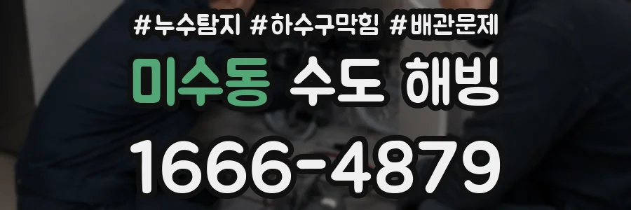 미수동 수도 해빙