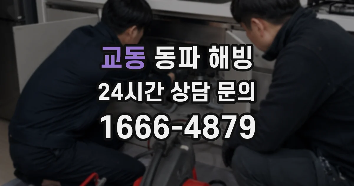 교동 동파 해빙