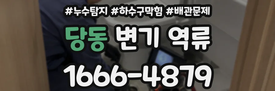 당동 변기 역류