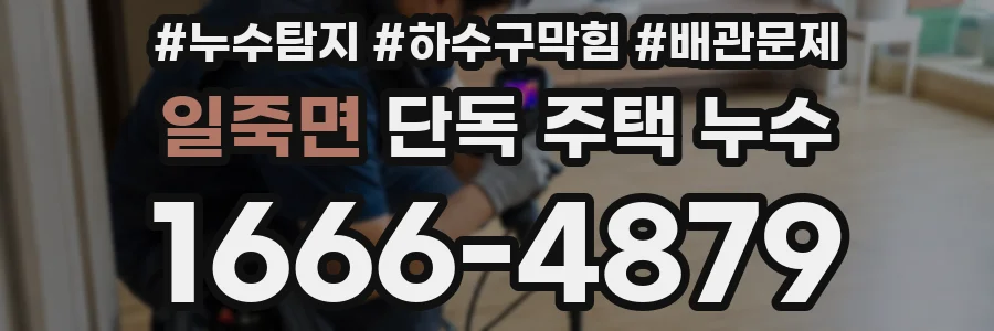 일죽면 단독 주택 누수