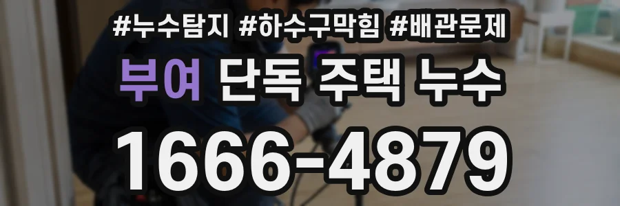 부여 단독 주택 누수