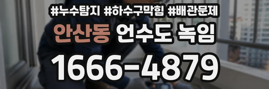 안산동 언수도 녹임
