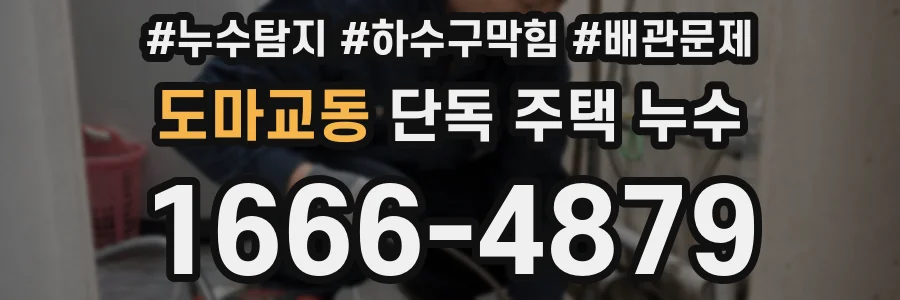 도마교동 단독 주택 누수