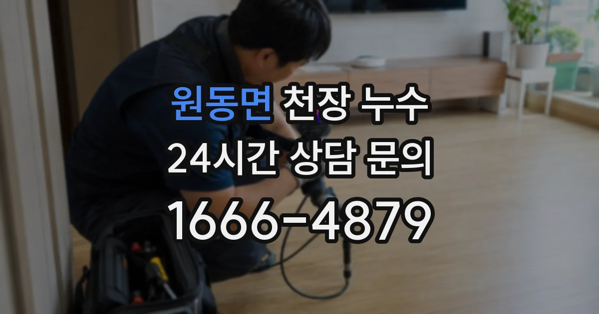 원동면 천장 누수