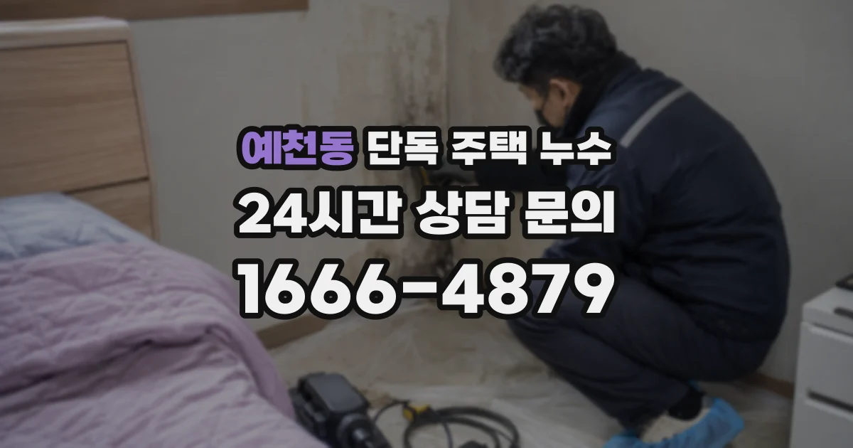 예천동 단독 주택 누수