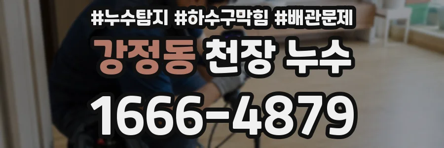 강정동 천장 누수