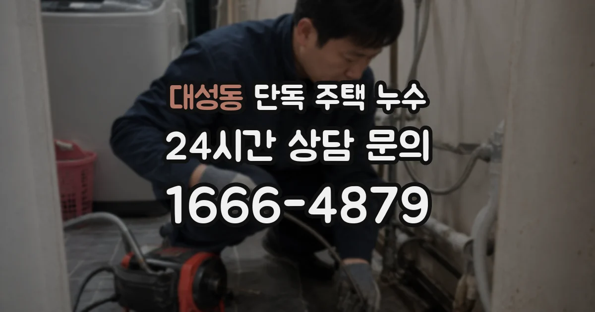 대성동 단독 주택 누수