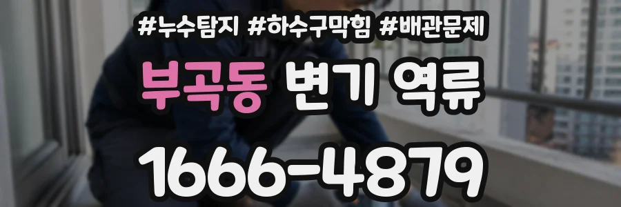 부곡동 변기 역류