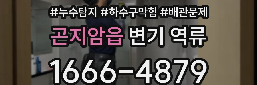 곤지암읍 변기 역류