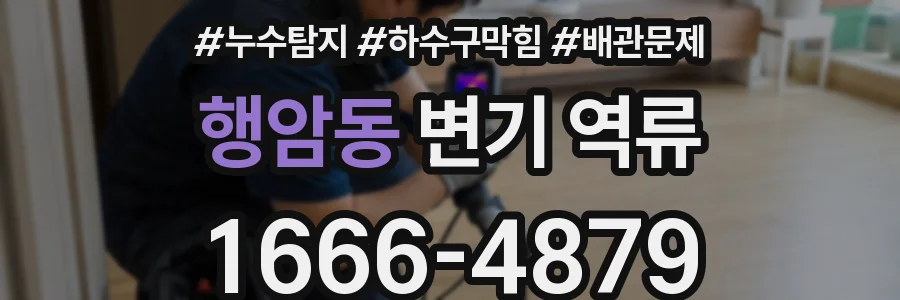 행암동 변기 역류