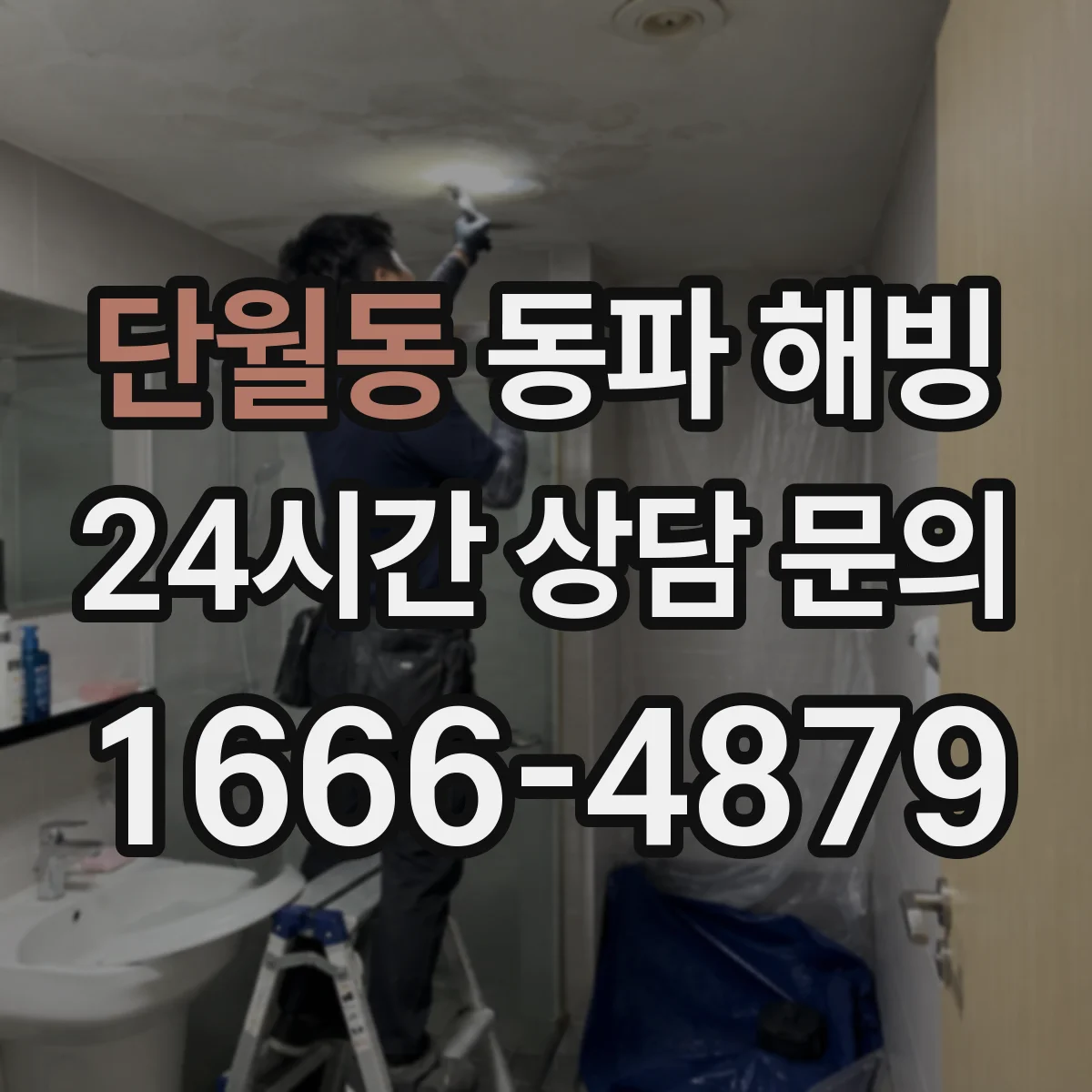 단월동 동파 해빙