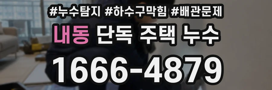 내동 단독 주택 누수
