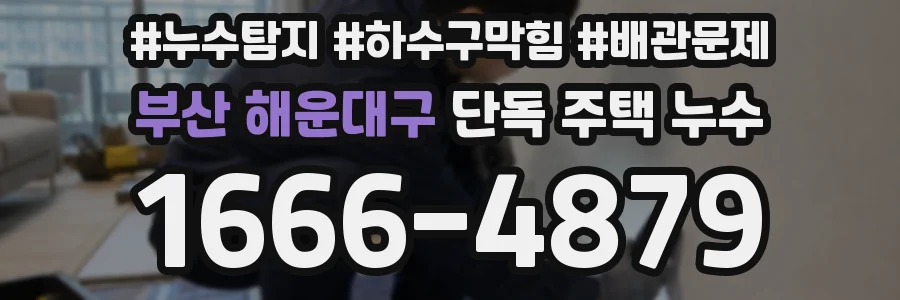 부산 해운대구 단독 주택 누수