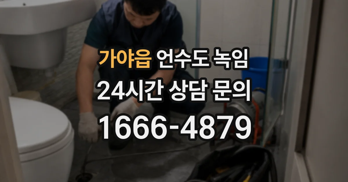 가야읍 언수도 녹임
