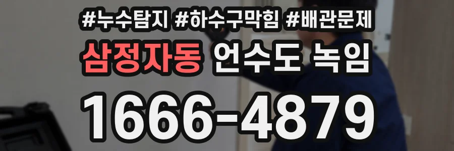 삼정자동 언수도 녹임