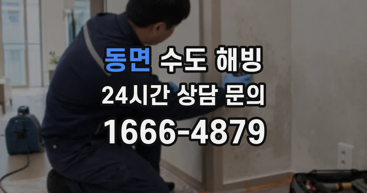동면 수도 해빙