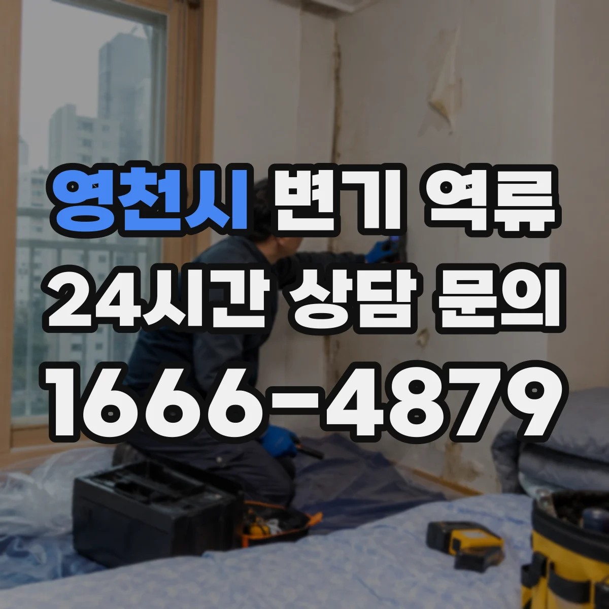 영천시 변기 역류