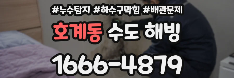 호계동 수도 해빙