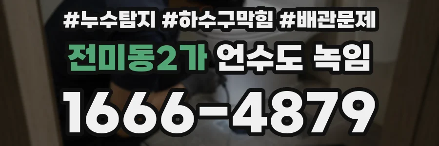 전미동2가 언수도 녹임
