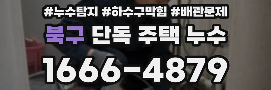 북구 단독 주택 누수