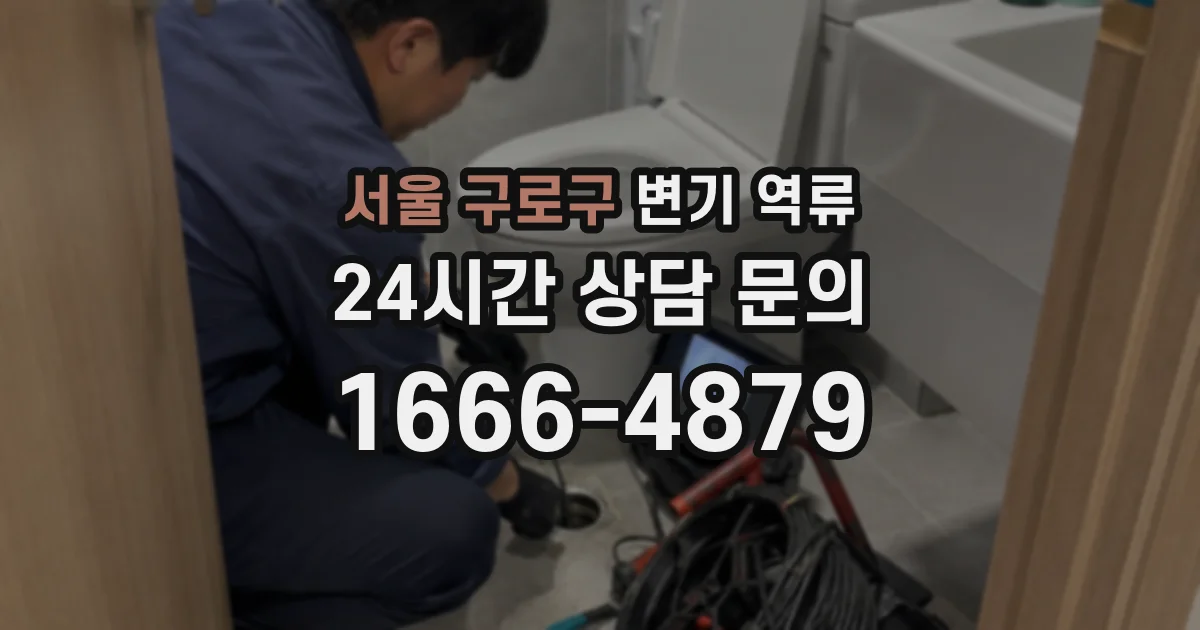 서울 구로구 변기 역류