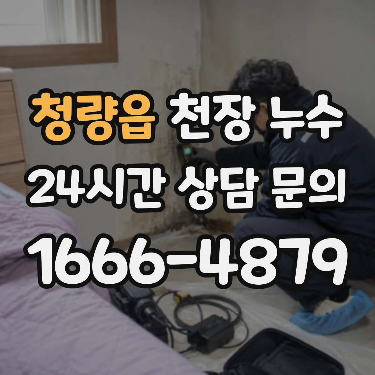 청량읍 천장 누수
