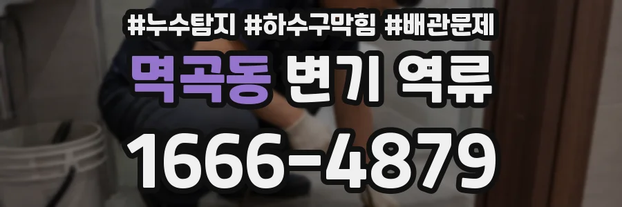 멱곡동 변기 역류