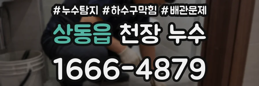 상동읍 천장 누수