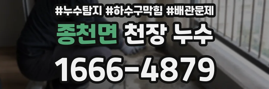 종천면 천장 누수