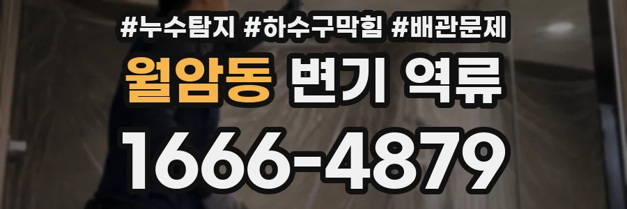 월암동 변기 역류
