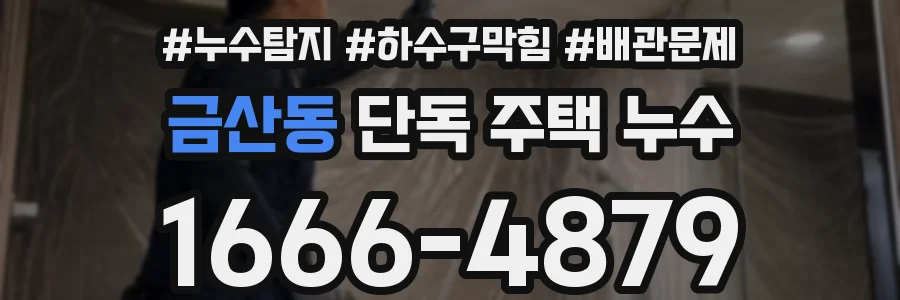 금산동 단독 주택 누수
