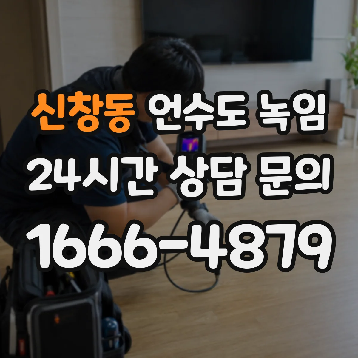신창동 언수도 녹임