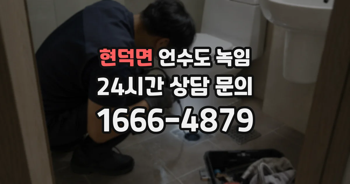 현덕면 언수도 녹임