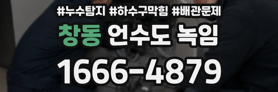 창동 언수도 녹임