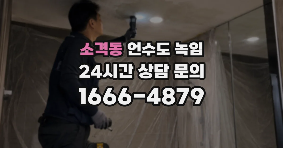 소격동 언수도 녹임