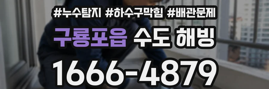 구룡포읍 수도 해빙
