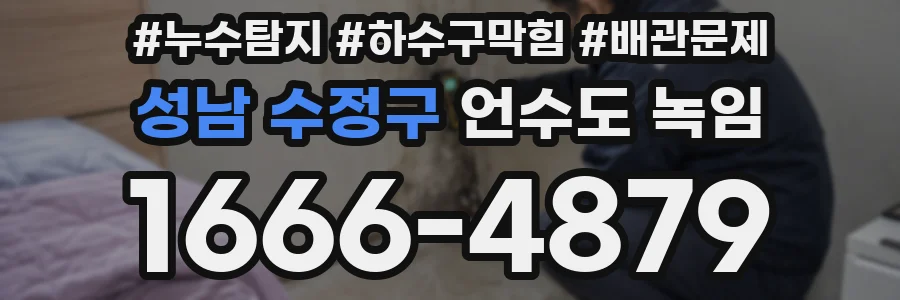 성남 수정구 언수도 녹임