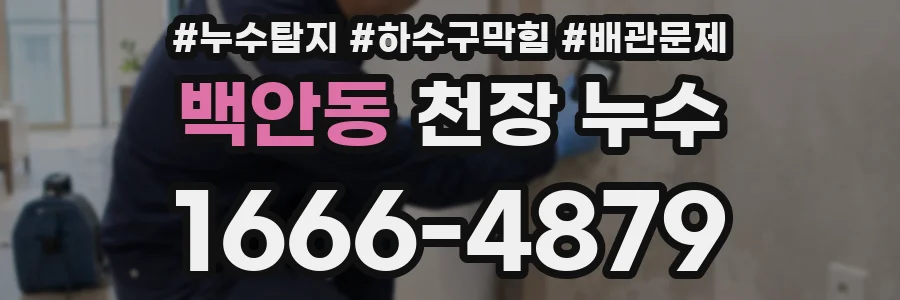 백안동 천장 누수