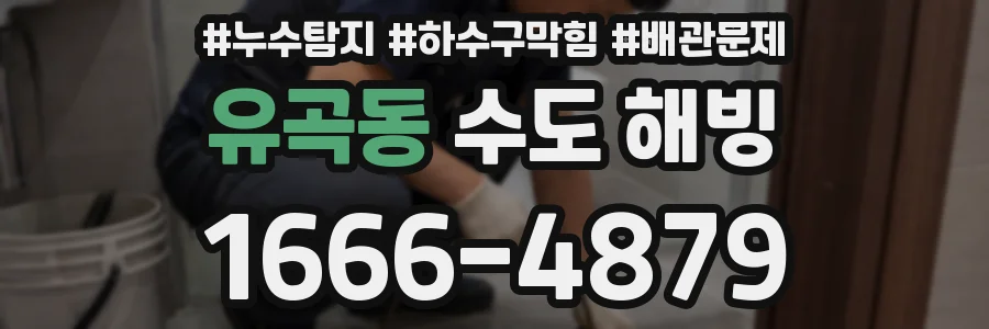 유곡동 수도 해빙