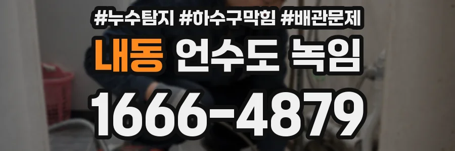 내동 언수도 녹임
