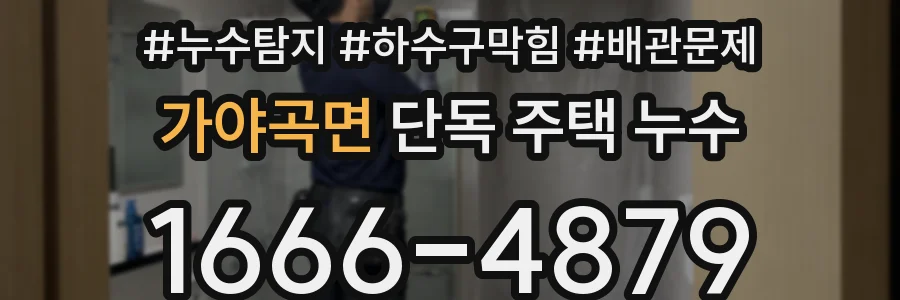 가야곡면 단독 주택 누수