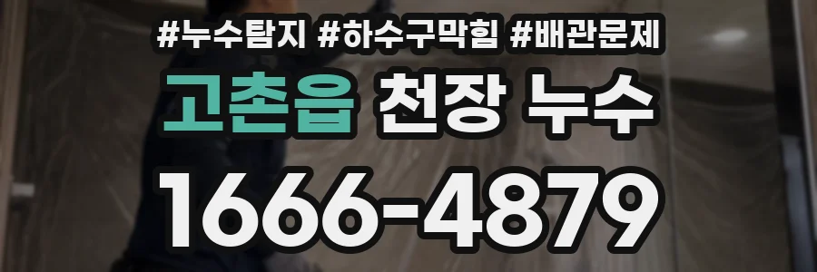 고촌읍 천장 누수