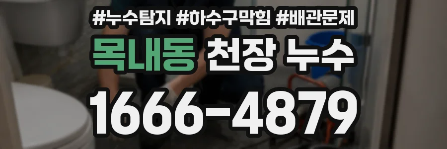목내동 천장 누수