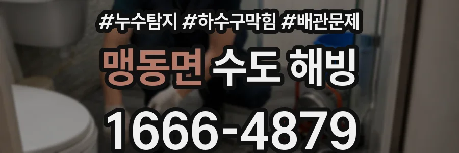 맹동면 수도 해빙