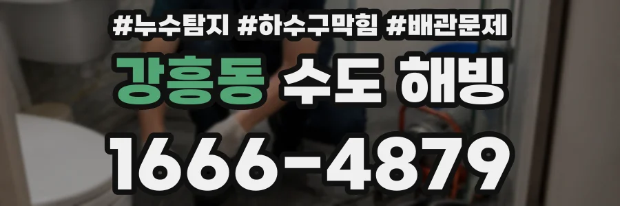 강흥동 수도 해빙